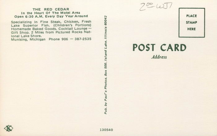 The Red Cedar - Old Postcard Photo